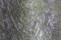 Gatacre Park fibreglass roof work